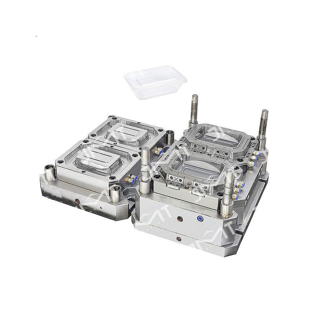 White square disposable lunch box packing box plastic mold